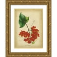 thumbnail image 1 of Paxton 11x14 Gold Ornate Wood Framed with Double Matting Museum Art Print Titled - Vermillion Blooms II, 1 of 4