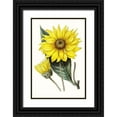 thumbnail image 1 of Paxton  23x32 Black Ornate Wood Framed with Double Matting Museum Art Print Titled - Paxton Florals II, 1 of 4