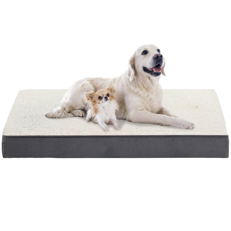 Foam dog beds for large dogs online