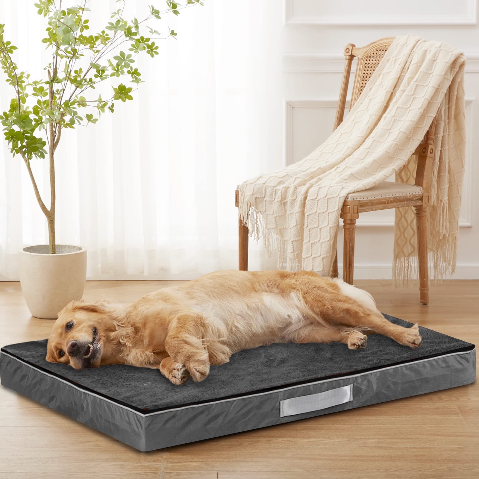 Carpenter pet bedding costco hot sale