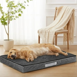 PawHut Rattan Dog Bed Elevated Pet Sofa Indoor Outdoor with Foldable Canopy for Small to Medium Dog Walmart