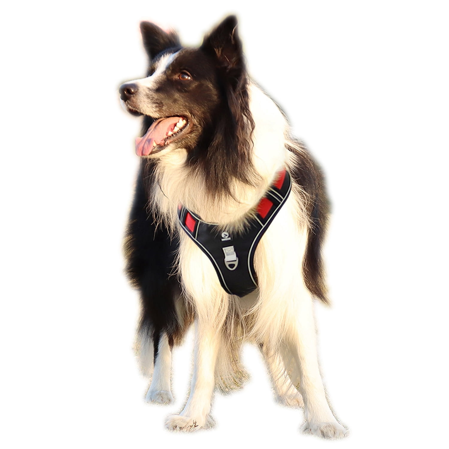 FURRYFECTION No-Pull Dog Harness | Reflective, Padded, 2 Leash Clips For Small To Large Dogs (Dark Brown, L)