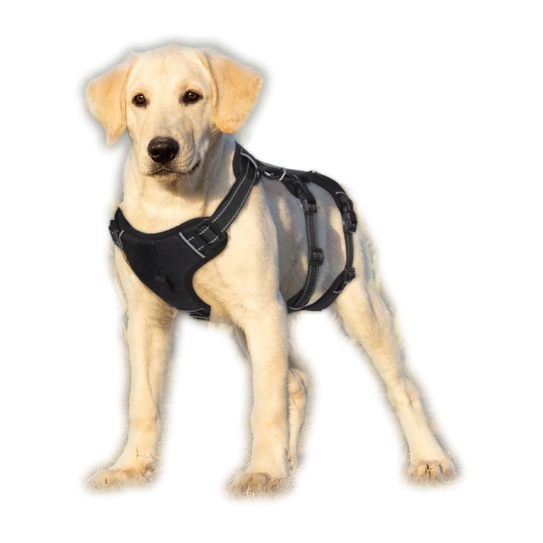 No-Pull Adjustable Dog Harness Vest - Oxford Fabric, Sizes S/M/L/XL/XXL For Pets