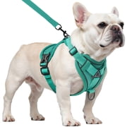 PayUSD Dog Harness with Leash Cat Harness No Pull Adjustable No Choke Pet Vest for Small Dogs Cats