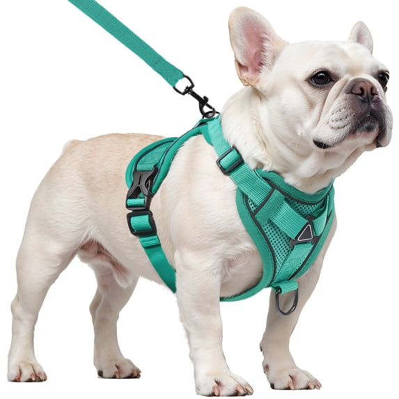 PayUSD Dog Harness with Leash Cat Harness No Pull Adjustable No Choke Pet Vest for Small Dogs Cats