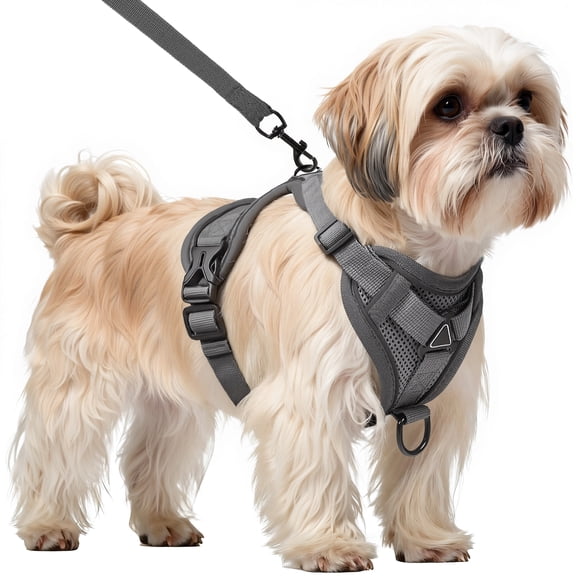 PayUSD Dog Harness with Leash Cat Harness No Pull Adjustable No Choke Pet Vest for Small Dogs Cats