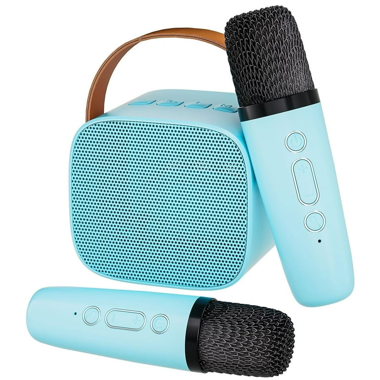 PayUSD Karaoke Machine, Portable Bluetooth Speaker with 2 Wireless