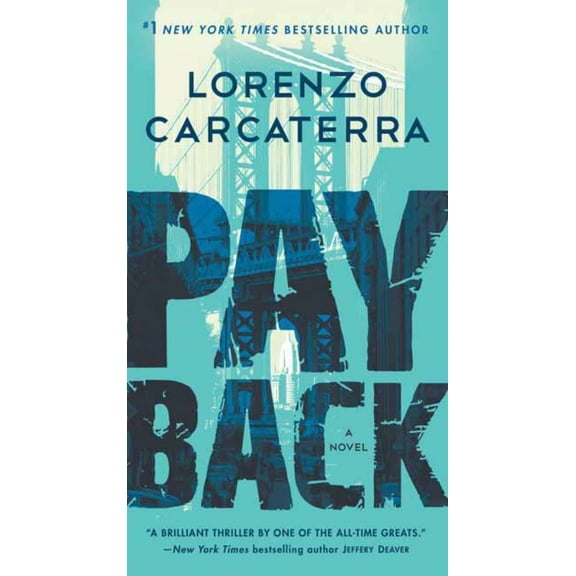 Payback: A Novel (Paperback)