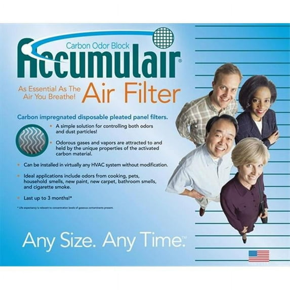 Payne FO20X20X2-RPN Air Purifier Carbon Filters  Pack of 2
