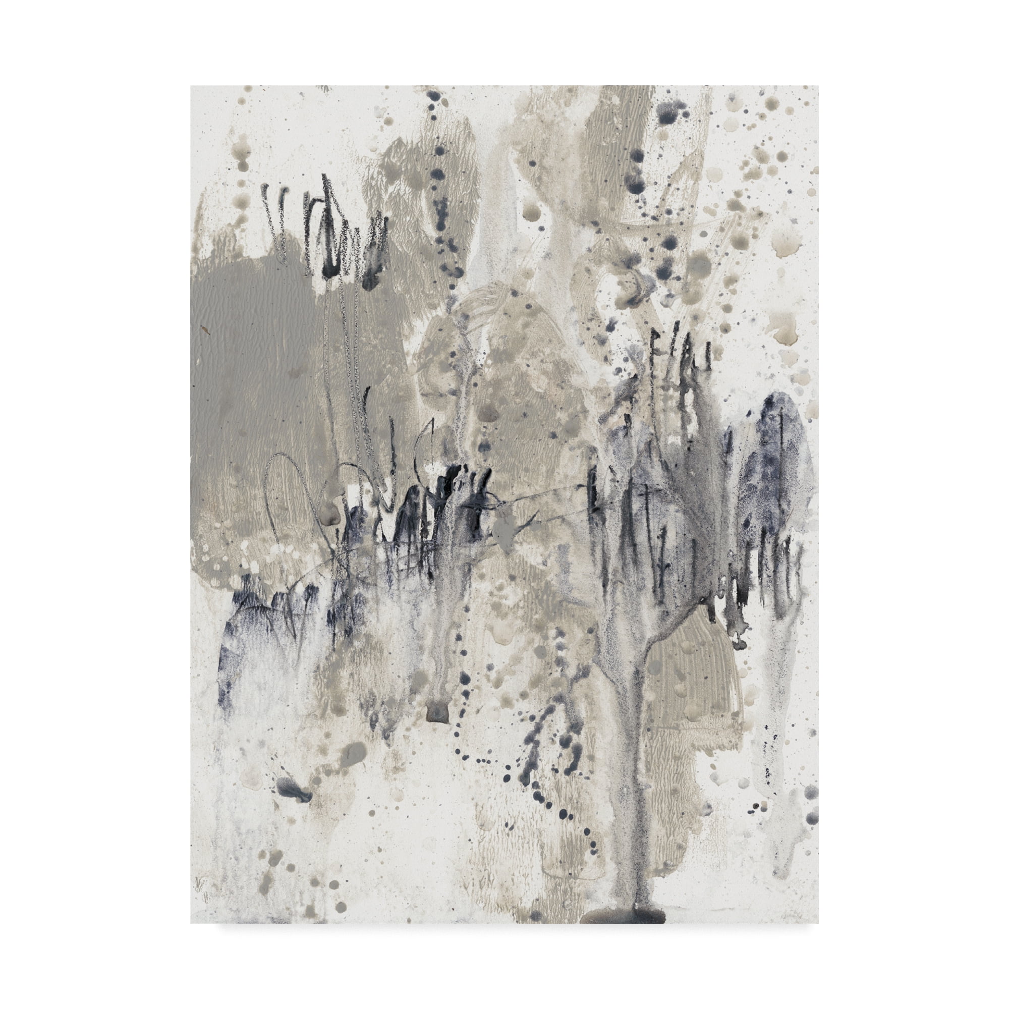 Paynes Splash II' Canvas Art by Jennifer Goldberger