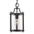 thumbnail image 1 of Golden Lighting Payton 1-light Pendant in Matte Black, 1 of 6