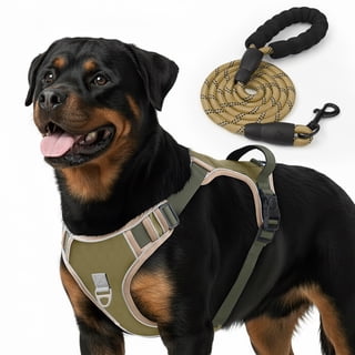 PcEoTllar Dog Harness and Leash Combo, Escape Proof No Pull Vest Harness, with Reflective Leash, Adjustable Pet Harness with Handle for Large Dogs, Khaki XL