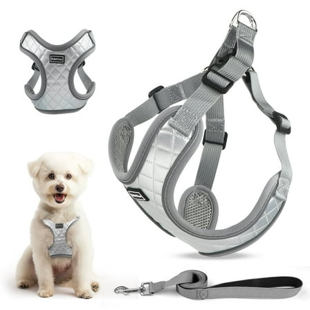 PcEoTllar Dog Harness and Leash Combo, Escape Proof No Pull Vest Harness, Step-in Reflective Adjustable Soft Padded Pet Harness for Small to Large Dogs, Gray XS