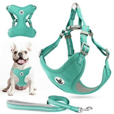 PcEoTllar Dog Harness and Leash Set, No Pull Soft Mesh Pet Harness, Reflective Adjustable Puppy Vest for Small Medium Dogs, Cats, Green, M