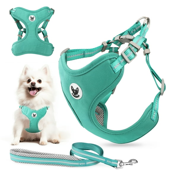 PcEoTllar Dog Harness and Leash Set, No Pull Soft Mesh Pet Harness, Reflective Adjustable Puppy Vest for Small Medium Dogs, Cats, Green, S
