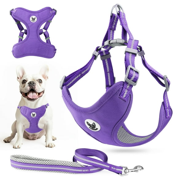 PcEoTllar Dog Harness and Leash Set, No Pull Soft Mesh Pet Harness, Reflective Adjustable Puppy Vest for Small Medium Dogs, Cats, Purple, M
