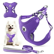 PcEoTllar Dog Harness and Leash Set, No Pull Soft Mesh Pet Harness, Reflective Adjustable Puppy Vest for Small Medium Dogs, Cats, Purple, S