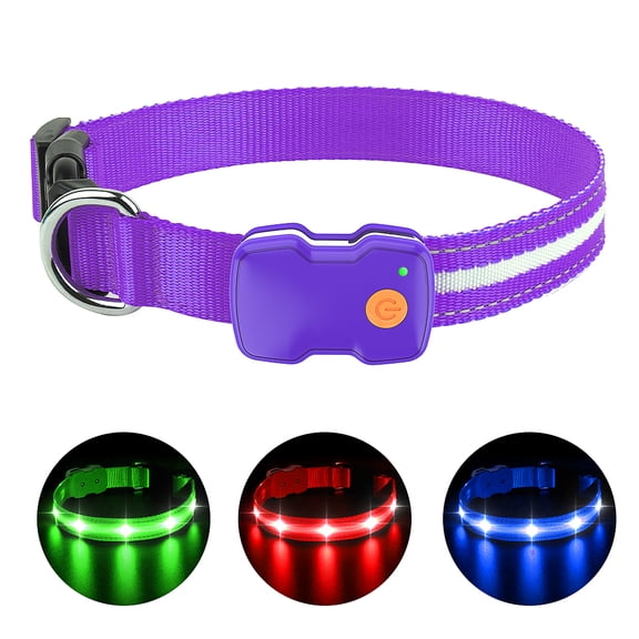 PcEoTllar Light up Dog Collar, LED Dog Collar Rechargeable, Pet Dog Collars for Large Dogs, Purple L