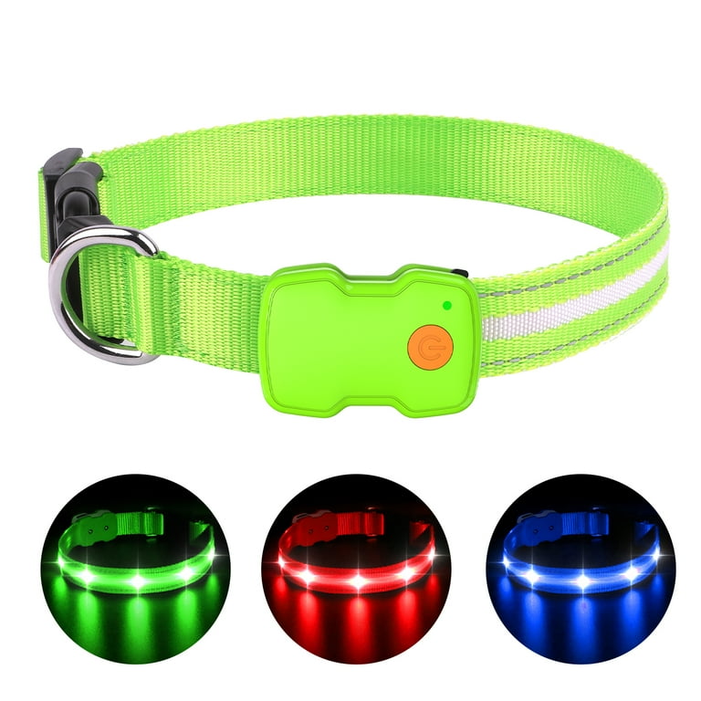 Bright dog collars hot sale