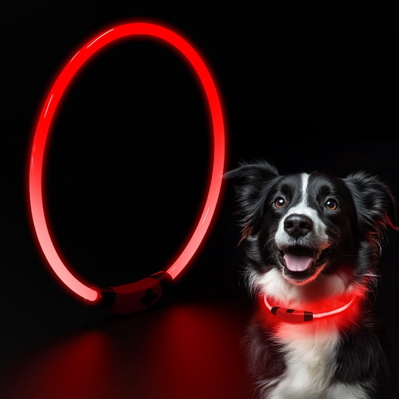 PcEoTllar Light up LED Dog Collar, USB Rechargeable Flash Light up Dog Collar, Red