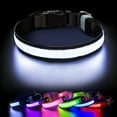 thumbnail image 1 of PcEoTllar Light up LED Dog Collar, Waterproof Rechargeable for Night Walking RGB Colorful Adjustable Safety Dog Collar for Medium Dogs (Black), 1 of 9