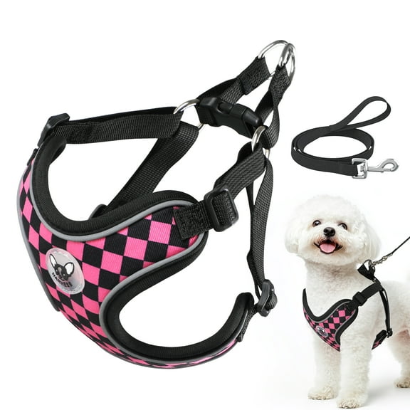 PcEoTllar No Pull Dog Harness and Leash Set, Adjustable Reflective Step in Dog Harness for Large Dogs, Pink L