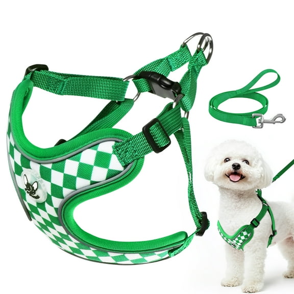 PcEoTllar No Pull Dog Harness and Leash Set, Adjustable Reflective Step in Dog Harness for Small Dogs, Green XS