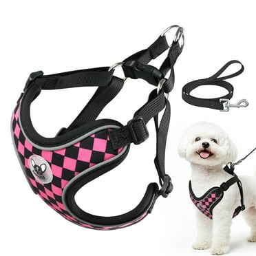 PcEoTllar No Pull Dog Harness and Leash Set, Adjustable Reflective Step in Dog Harness for Small Dogs, Pink XS
