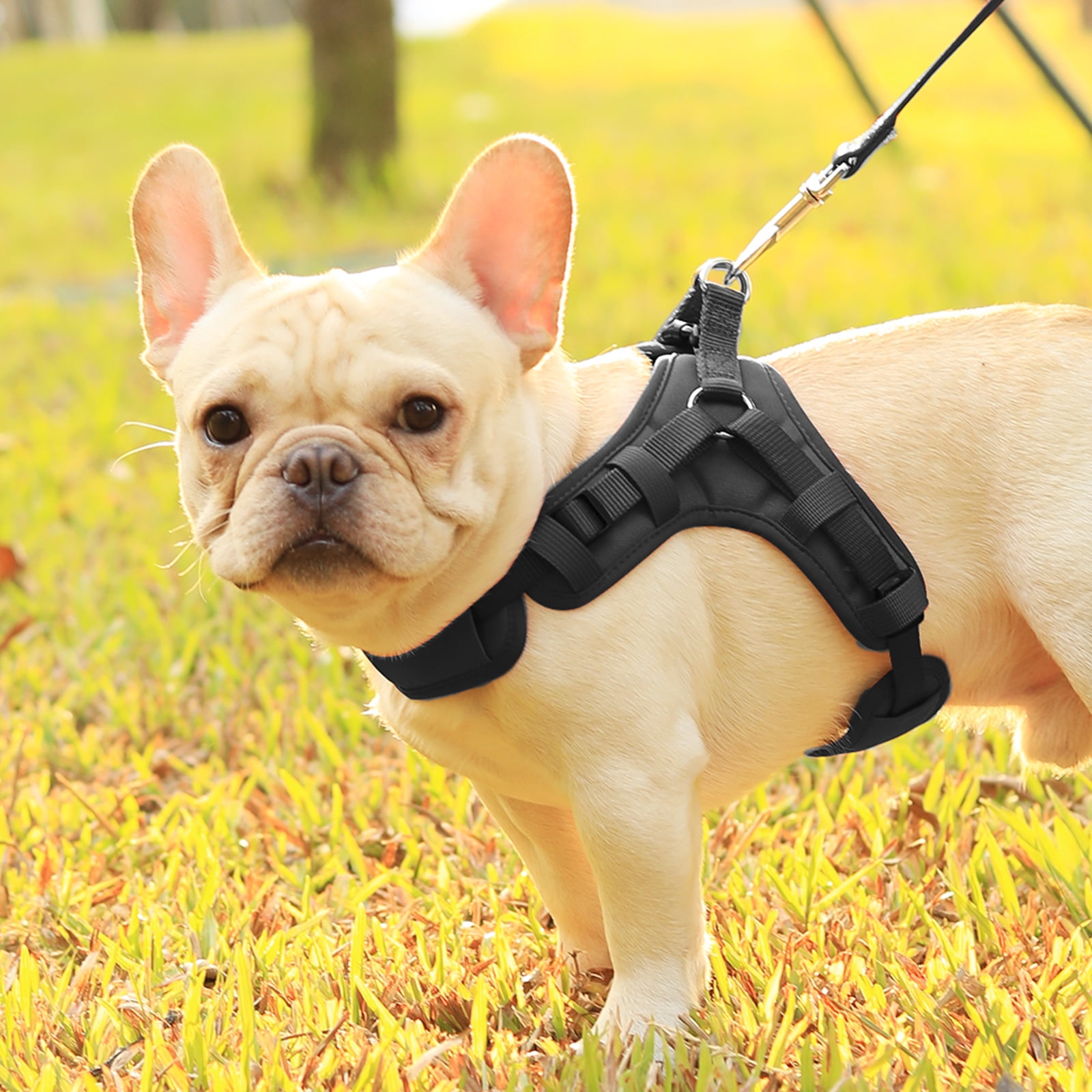 PcEoTllar Dog Harness for Large Dogs No Pull Mesh Breathable