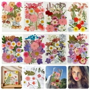 Pcapzz 90Pcs Dried Pressed Flowers for Resin Molds Colorful Real Pressed Flowers Bulk Natural DIY Dry Flowers Beautiful Dried Flower and Leaves for Scrapbooking Art Crafts,Pink