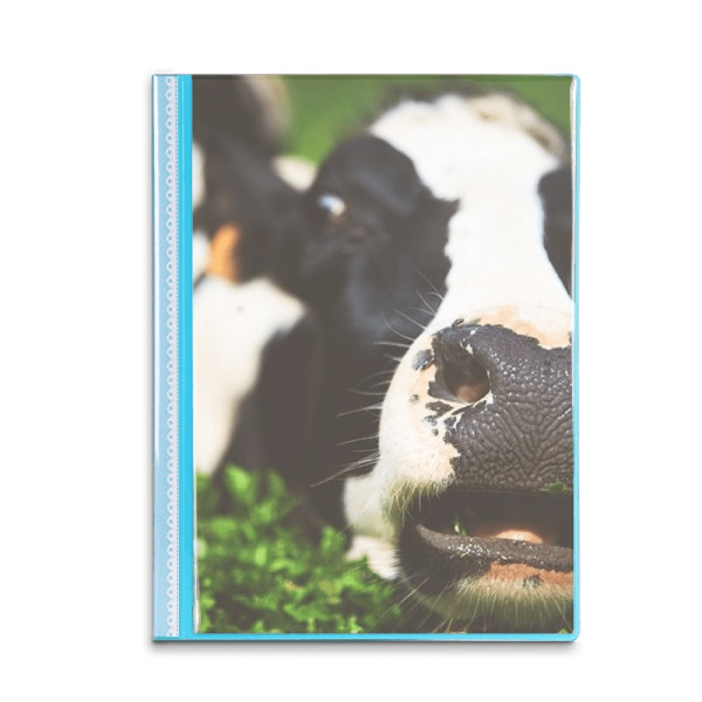 Pcture m Animal Cow Book Sheet Protectors Portfolio Binder Folder