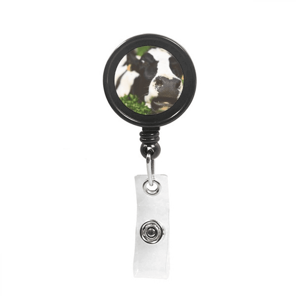 Pcture m Animal Cow Retractable Keychain Badge Holder ID Badge