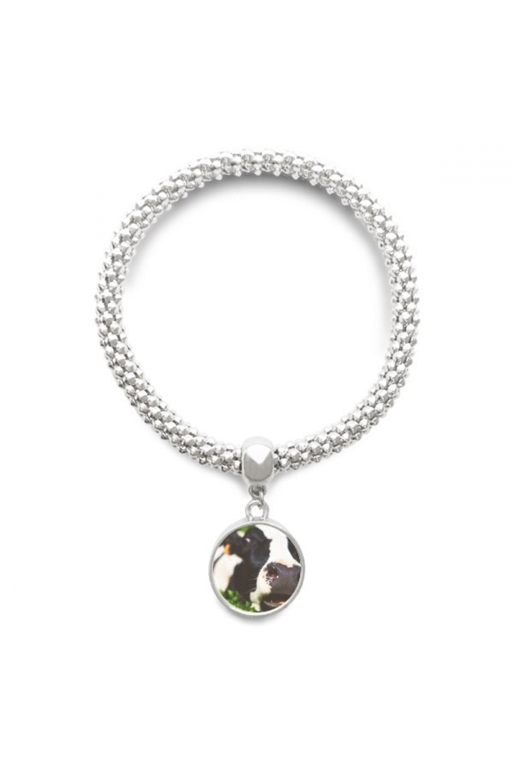 Pcture m Animal Cow Sliver Bracelet Pendant Jewelry Chain Adjustable Bangle