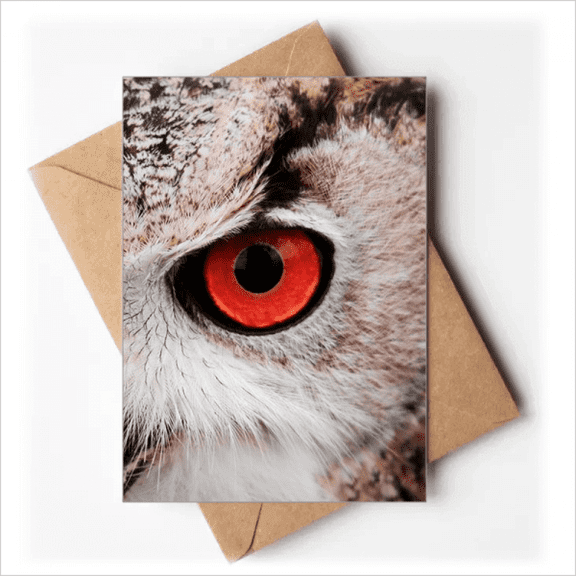 Pcture m Animal Owl Greeting Cards You are Invited Invitations