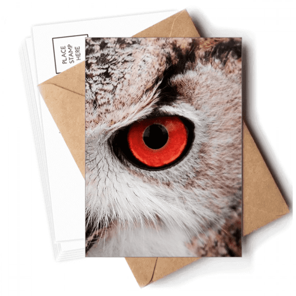 Pcture m Animal Owl Postcards Envelopes Blank Note Cards Mailing