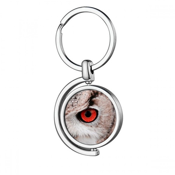 Pcture m Animal Owl Rotating Keychain Metal Keyring Holder