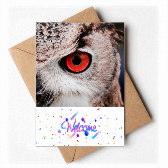 Pcture m Animal Owl Welcome Back Greeting Cards Envelopes Blank