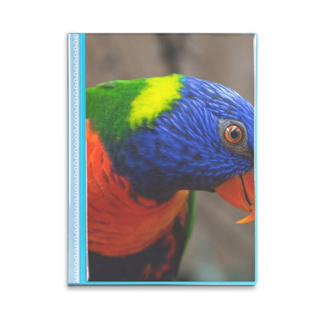 Pcture m Animal Parrot Book Sheet Protectors Portfolio Binder Folder