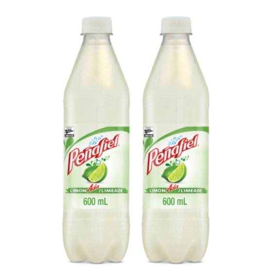 Peafiel Limonada Limeade Flavored Spring Mineral Water, 20.3 fl oz Bottles (2 Pack)