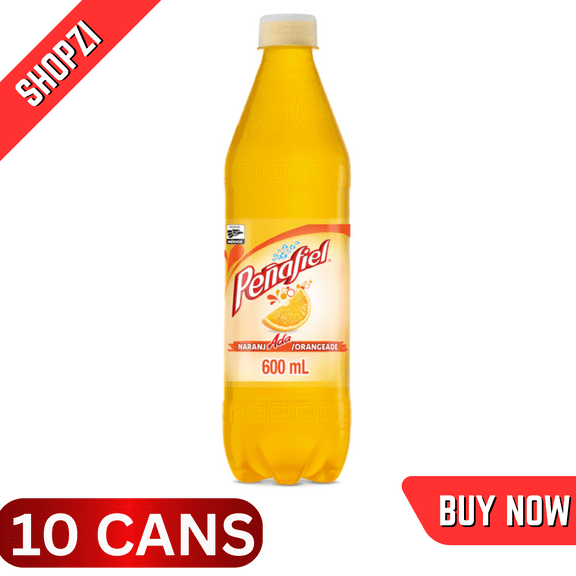 Peafiel Water Beverage, Orangeade, 10 Pack (20.3 fl oz Bottles), Sparkling Citrus Drink