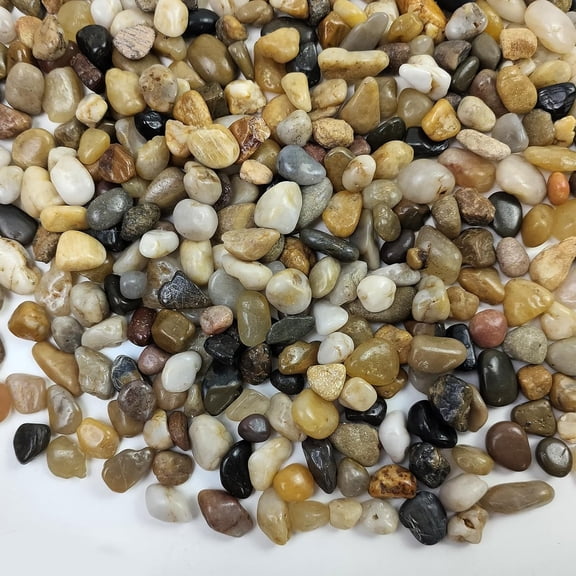 Pea Gravel for Landscaping, 10 lbs Aquarium Gravel Rocks, 1/4 Inch | Natural Polished Pebbles for Plants, Decorative Stones River Rocks for Succulent Soil Cover, Fish Tank, Vase, Outdoor Garden