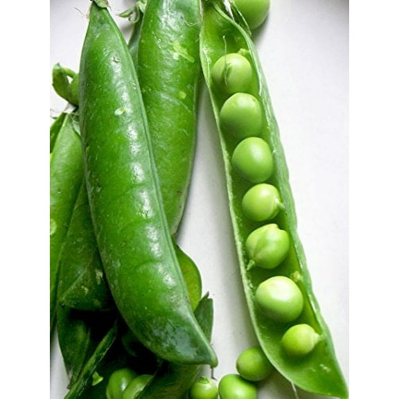 Pea Little Marvel Great Heirloom Vegetable by Seed Kingdom Bulk 5 Lb Seeds