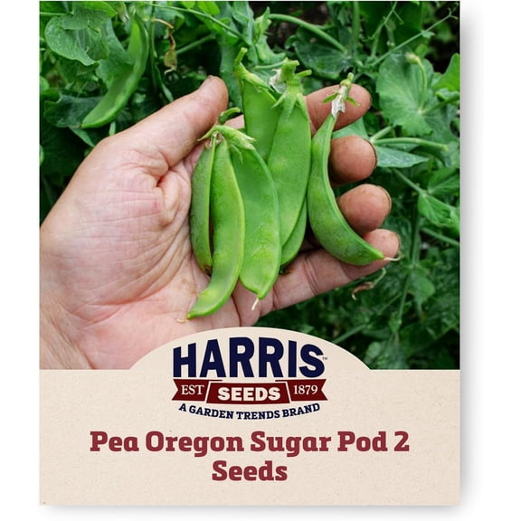 Harris Seeds - Pea Seeds Oregon Sugar Pod 2 Non-GMO Vegetable Home Garden 0.5 Lb