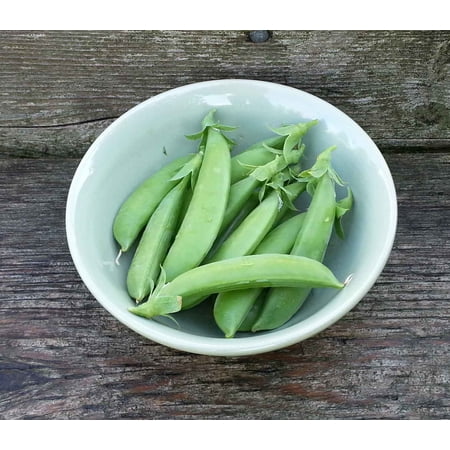 Pea Seed, Sugar Snap Pea, Heirloom, Non GMO, 100 Seeds, Perfect Peas, Country Creek Acres