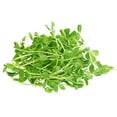thumbnail image 1 of 99 Ranch Pea Sprouts - Fresh Vegetables, Produce For Salads, Bowls And Stir-Fries, 8 oz, 1 of 1