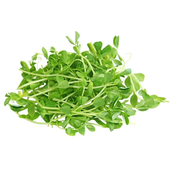 99 Ranch Pea Sprouts - Fresh Vegetables, Produce For Salads, Bowls And Stir-Fries, 8 oz