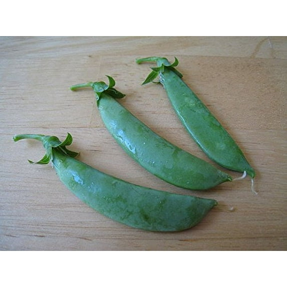 Pea Sugar Snap Great Heirloom Vegetable Seeds 50 Seeds