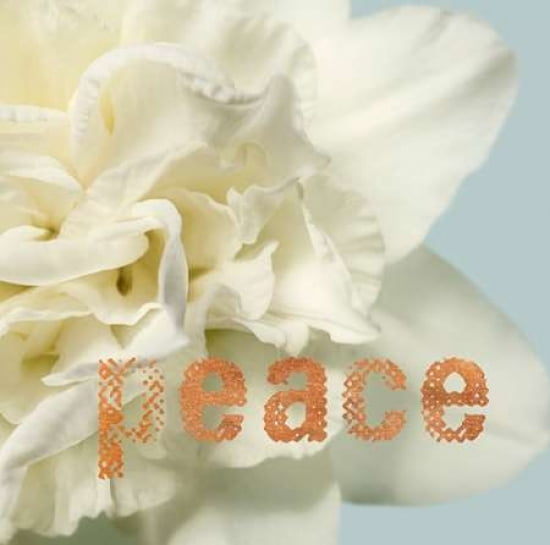 Peace Blossom Canvas Art - Julie Greenwood (24 x 24)