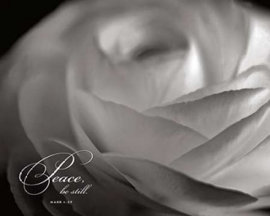 Peace Canvas Art - Dennis Frates (24 x 30)