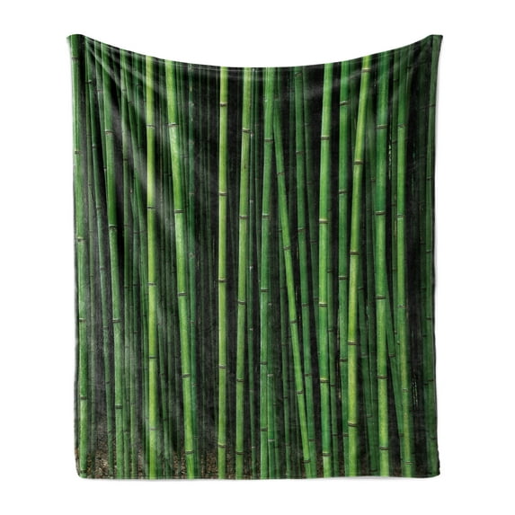 Peace Garden Soft Flannel Fleece Blanket, Nature Themed Picturesque of Japanese Thick Bamboo Forest Elements, Cozy Plush for Indoor and Outdoor Use, 50" x 60", Lime Green and Emerald, by Ambesonne